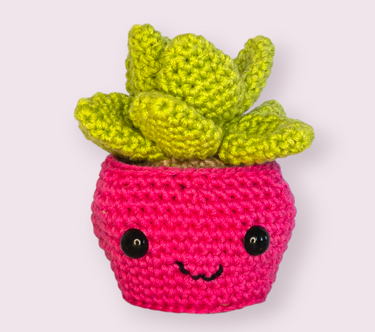 Amigurumi - Suculenta